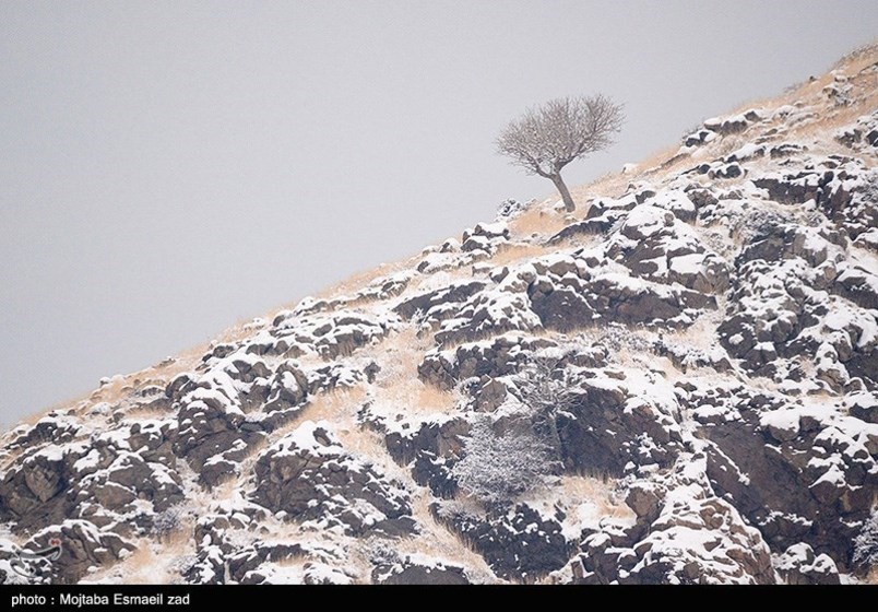 طبیعت زمستانی جزایر دریاچه ارومیه