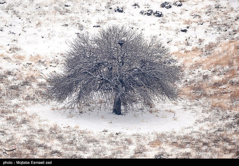 طبیعت زمستانی جزایر دریاچه ارومیه