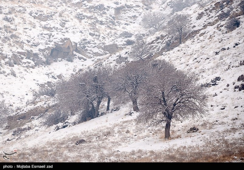 طبیعت زمستانی جزایر دریاچه ارومیه