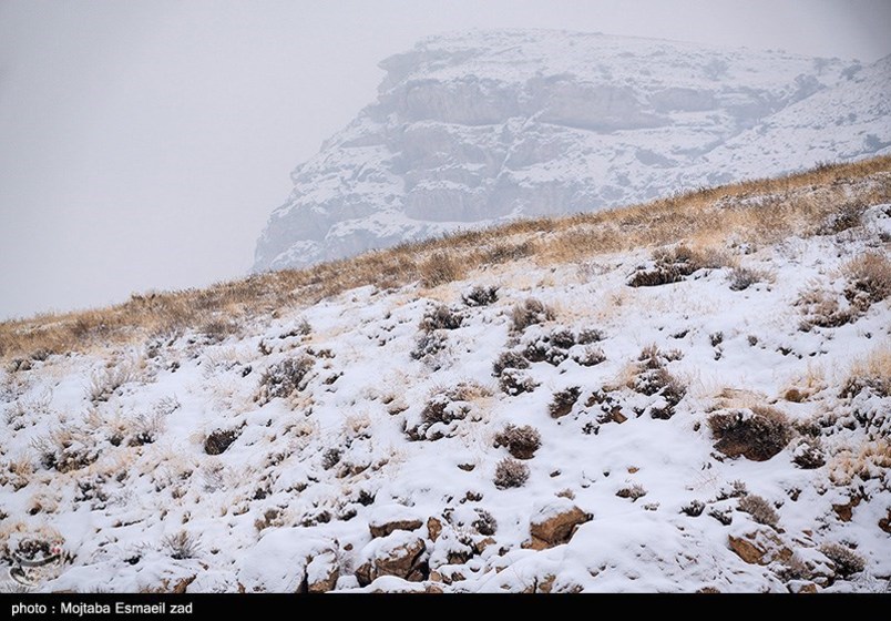 طبیعت زمستانی جزایر دریاچه ارومیه