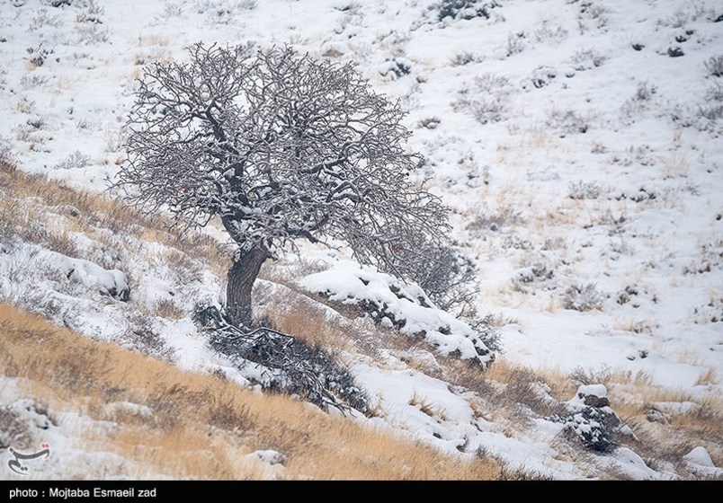 طبیعت زمستانی جزایر دریاچه ارومیه