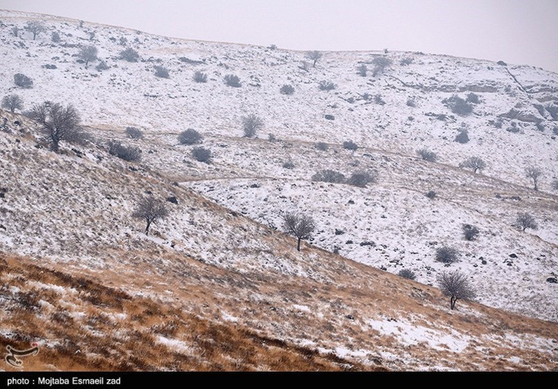 طبیعت زمستانی جزایر دریاچه ارومیه