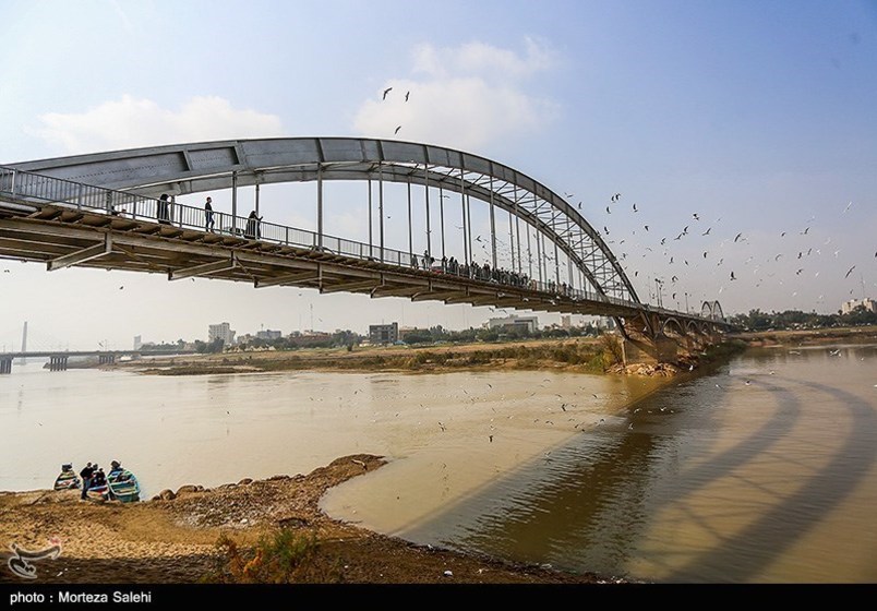 پرندگان مهاجر در رودخانه کارون اهواز