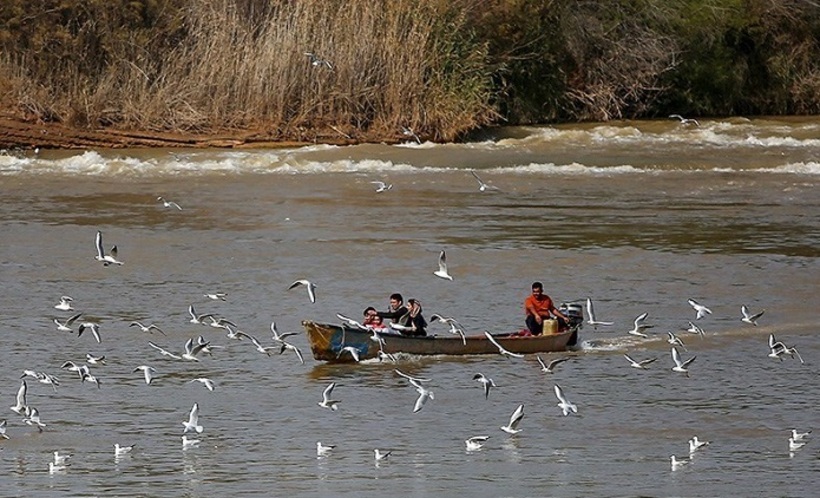 پرندگان مهاجر در رودخانه کارون اهواز