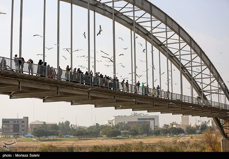 پرندگان مهاجر در رودخانه کارون اهواز