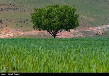 ارسباران