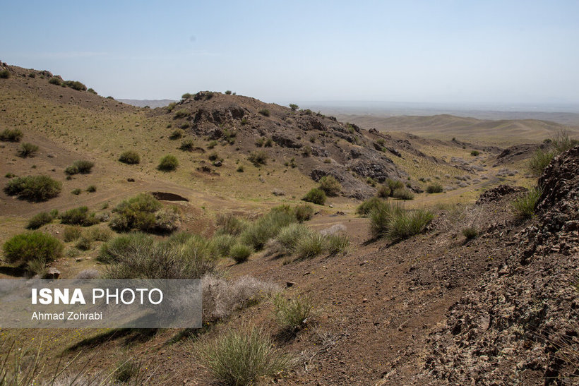 ایران‌شناسی؛ شکوفه هایی به ارزش حیات