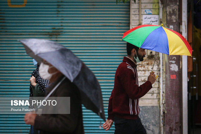 شادابی باران بهاری در همدان/ تصاویر