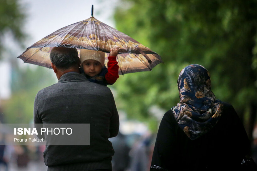 شادابی باران بهاری در همدان/ تصاویر