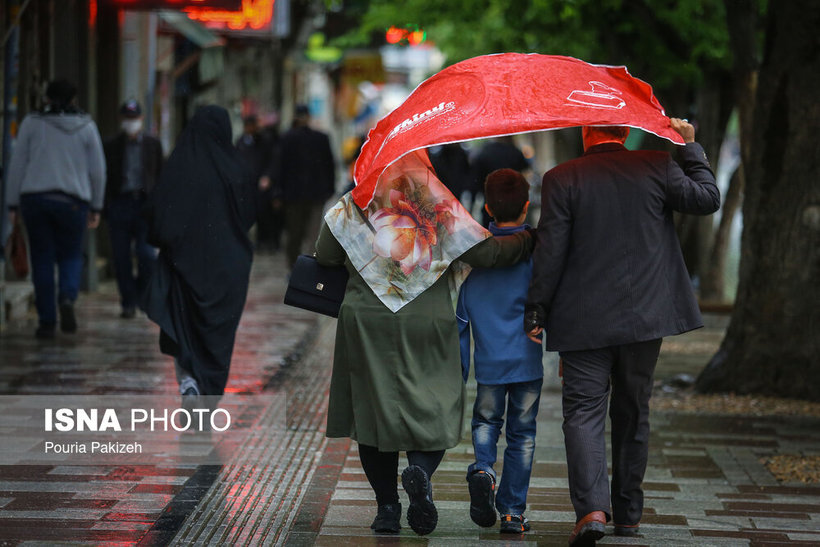 شادابی باران بهاری در همدان/ تصاویر