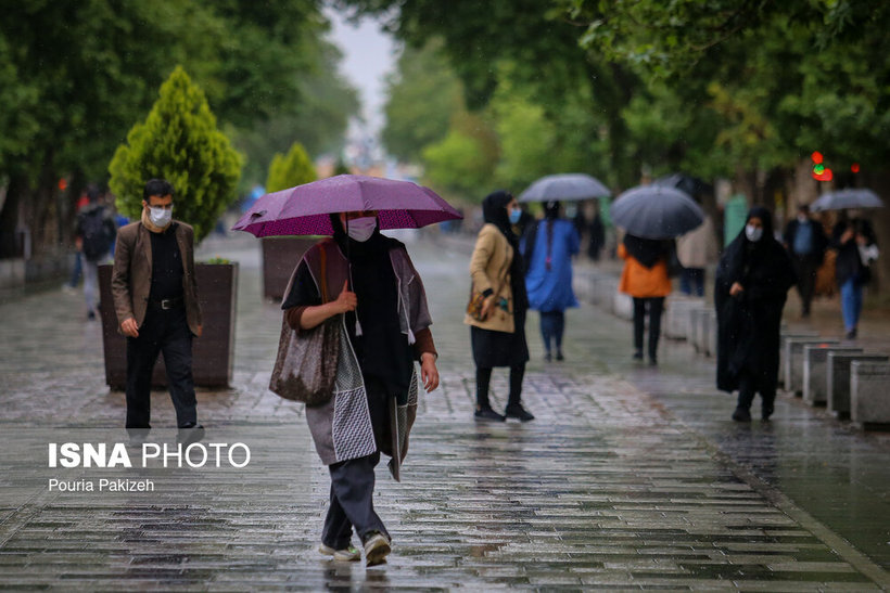 شادابی باران بهاری در همدان/ تصاویر