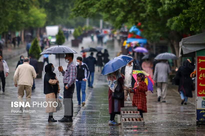 شادابی باران بهاری در همدان/ تصاویر