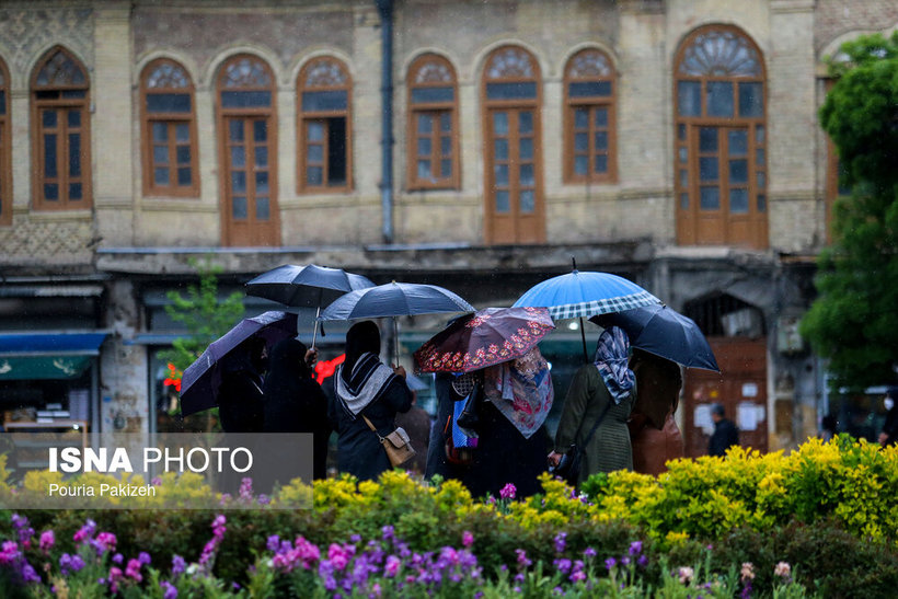 طراوت باران بهاری - همدان