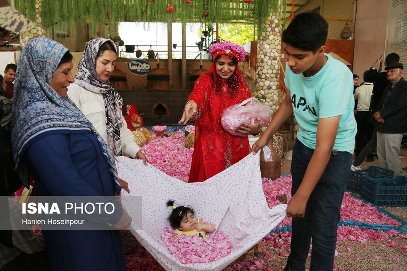 جشنواره گل و گلاب/ تصاویر