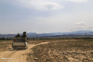 برداشت گل محمدی لیستی