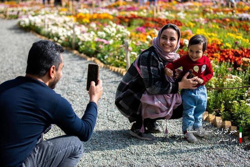 جشنواره گل‌های داودی در باغ گیاه شناسی ملی ایران