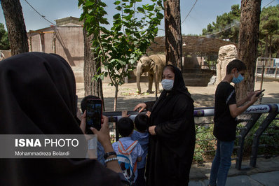 رونمایی از 