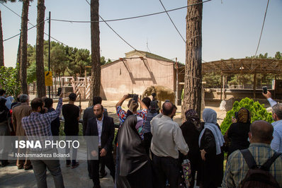 رونمایی از 