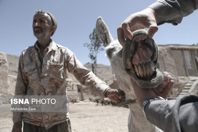 خشکسالی در روستای کلاته عرب‌ها