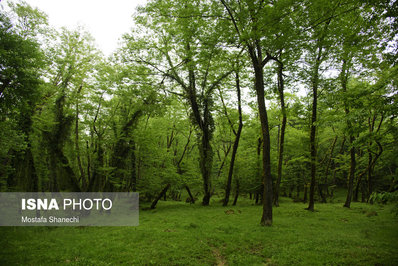 آبشار تیرکن سوادکوه